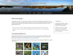 Lake Apopka Wildlife